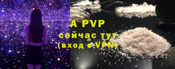 Альфа ПВП Пролетарск